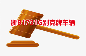 序号01：浙B1731G别克牌车辆